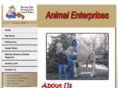 racingpigsandzoos.com