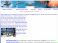 tampaflrelocation.com