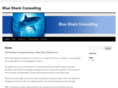 bluesharkconsulting.com