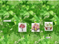 flowersbyelena.net