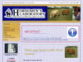 horsemenslab.com