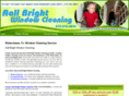 windowcleaningwaterchase.com