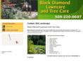 blackdiamondlawntreecare.com