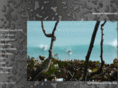 junosurf.com