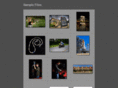 lowtherphotographic.com