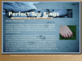 perfecttoerings.com