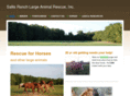 sallisranchrescue.com