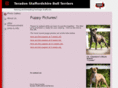 staffybulls.com
