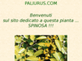 paliurus.com