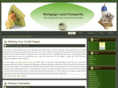 prosperitywands.com