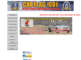 carflag1001.com