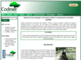 codewe.org