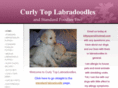 curlytoplabradoodles.com