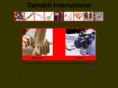 damsbit.com