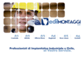 edilmontaggi.com