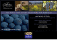 fortinowinery.com