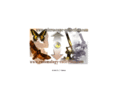 microscope-collection.com
