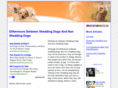 nonsheddingdogbreeds.net