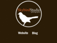 skybirdstudio.com