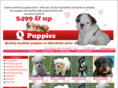 theqpuppies.com