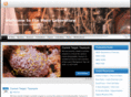 williammaio.com
