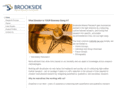 brooksideconsulting.com