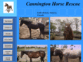 cannington-horse-rescue.com
