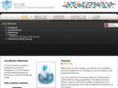 iceinc-ps.com