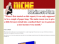 niche-biz.info