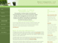 brainintegration.org