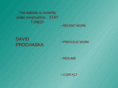 davidprochaska.com