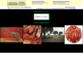 ibericosguijuelo.com