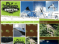 switch5boardshop.com