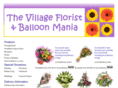 the-village-florist.co.uk
