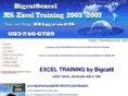 bigcat9excel.com