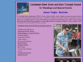 caribbeansteeldrumsound.com