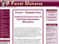 ferret-universe.com