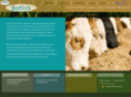 koffolkah.com