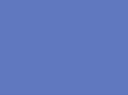professionalpolygraphservices.com