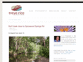 treyerice.com