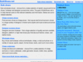 bulkshoes.net