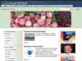cityofwoodland.com
