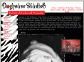 doghousestudios.com