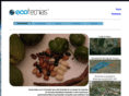 ecotecniasmx.com