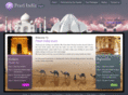 pearlindiatours.com