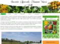 vivainannini.com