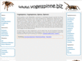 vogelspinne.biz