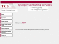 tysingerconsulting.com
