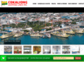 cokaliongshipping.com