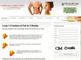ctlaserfatloss.com
